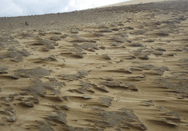 大地 鳥取砂丘クイズ 鳥取砂丘 観光ガイド Tottori Sand Dunes Travel Guide